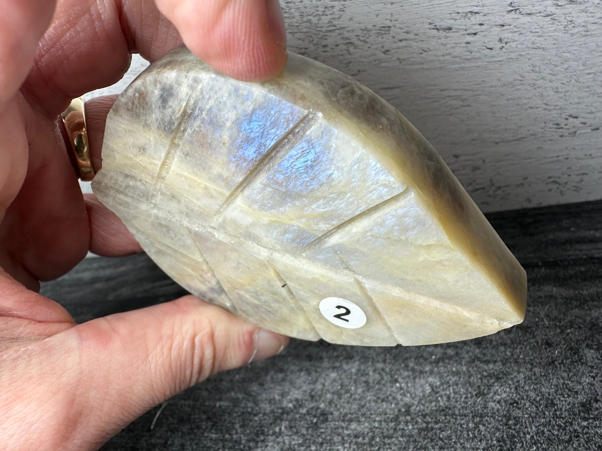 Grey Moonstone with Blue Flash Leaf (Carved Natural Crystal)