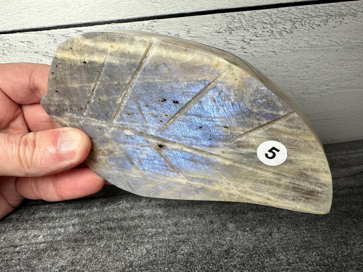Grey Moonstone with Blue Flash Leaf (Carved Natural Crystal)