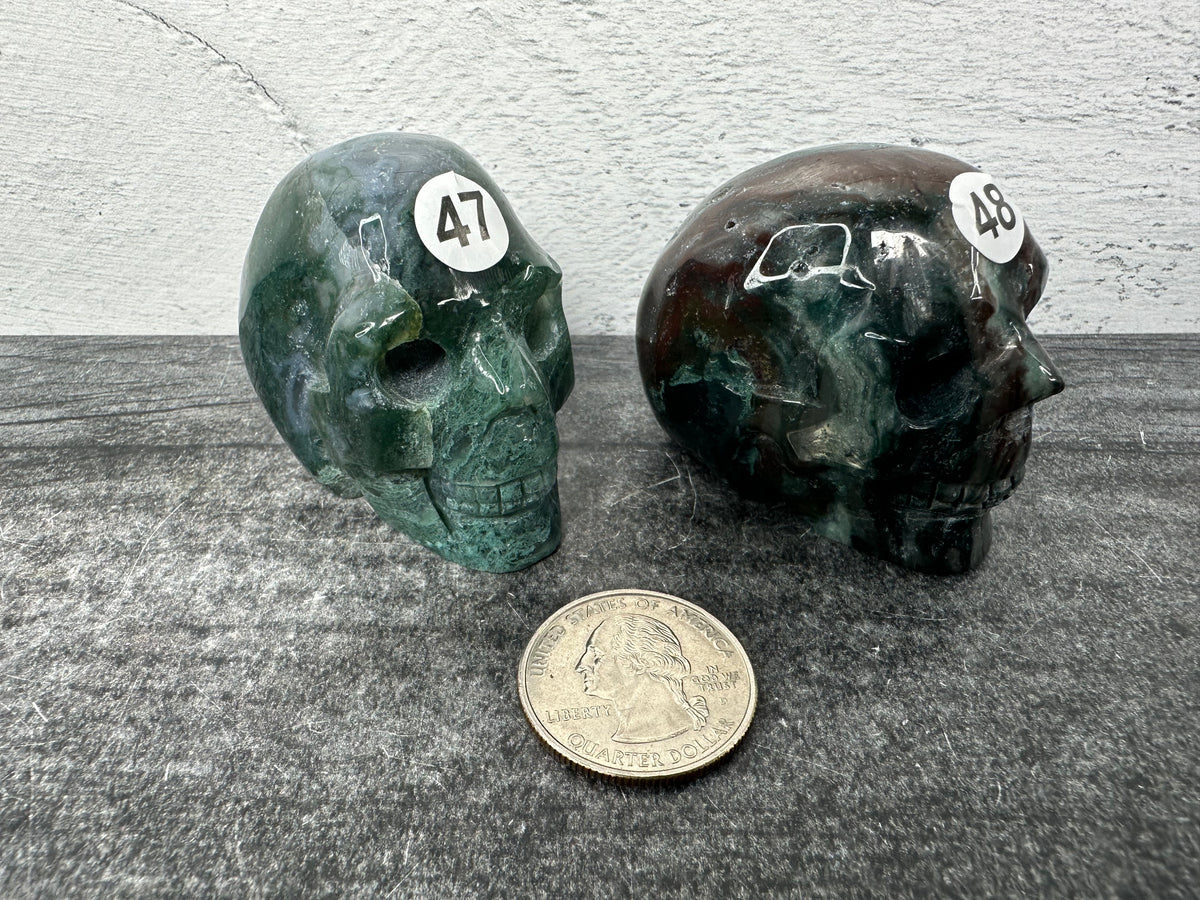 Ocean Jasper Skull (2&quot;) Carved Natural Crystal