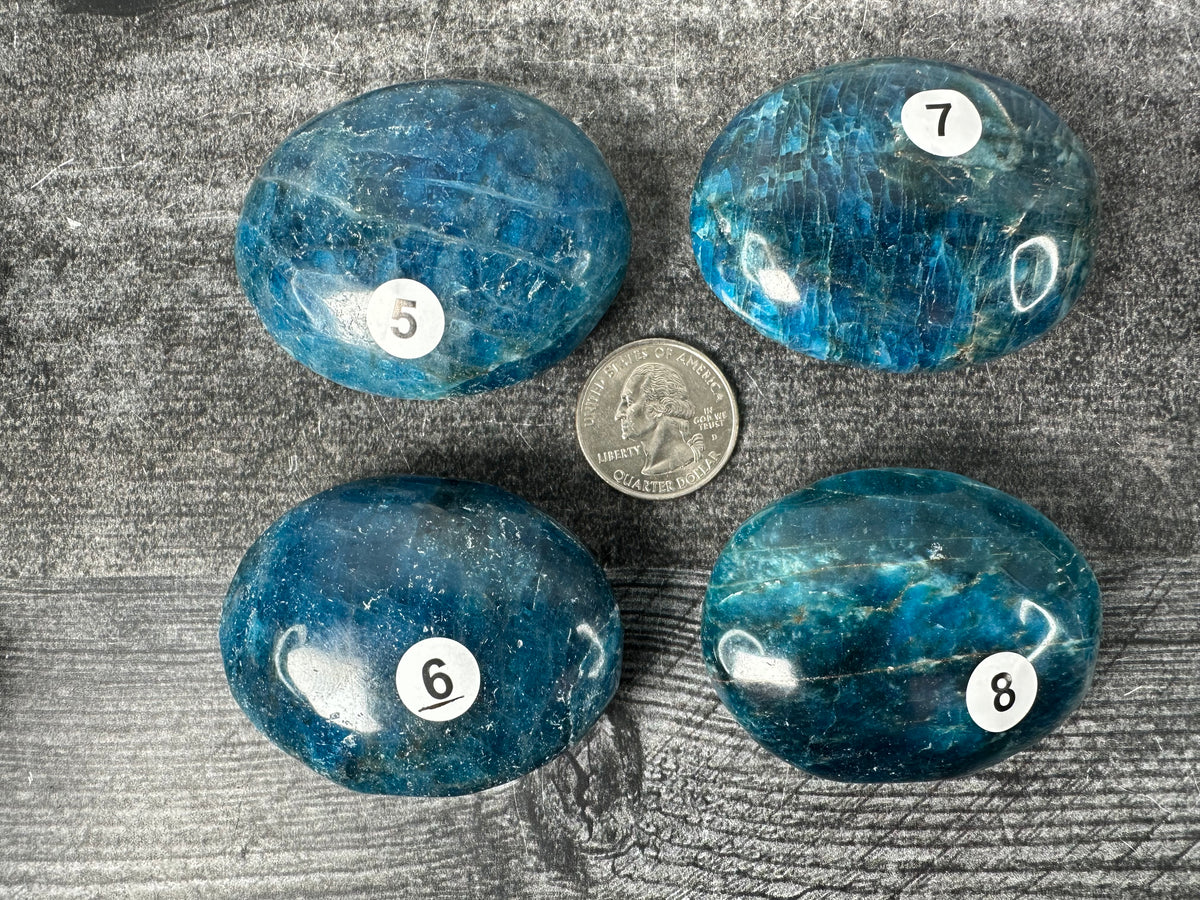 Blue Apatite Palm (Natural Crystal)