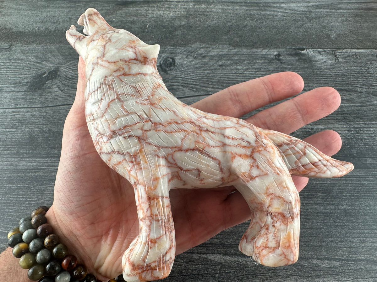Wolf (6&quot;) Coyote Jackal Fox Dog (Large Carved Natural Crystal Animal)