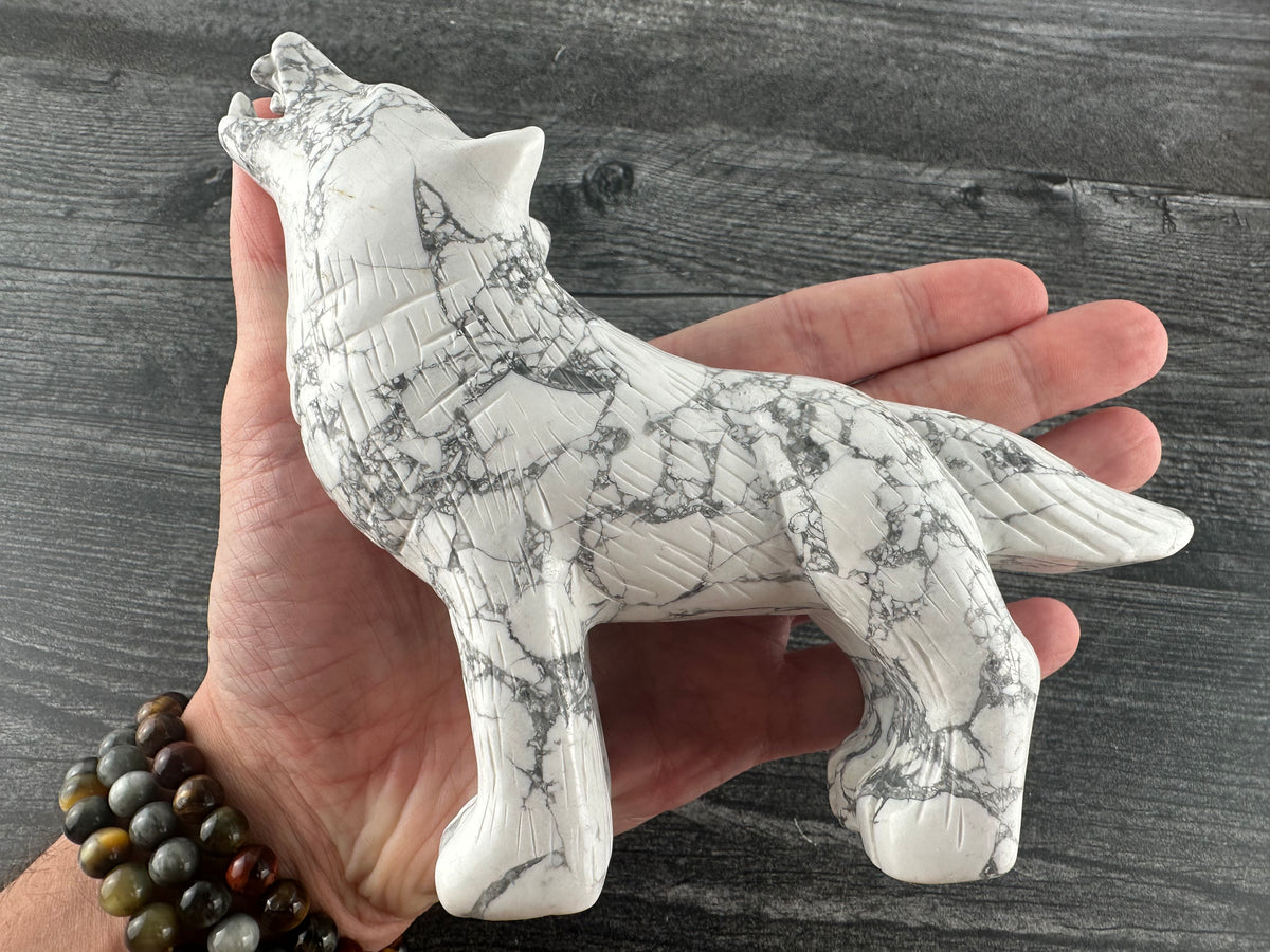 Wolf (6&quot;) Coyote Jackal Fox Dog (Large Carved Natural Crystal Animal)
