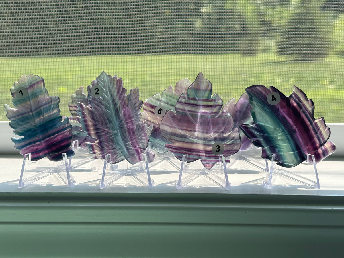 Rainbow Fluorite Leaf w Stand (3&quot;) Carved Natural Crystal