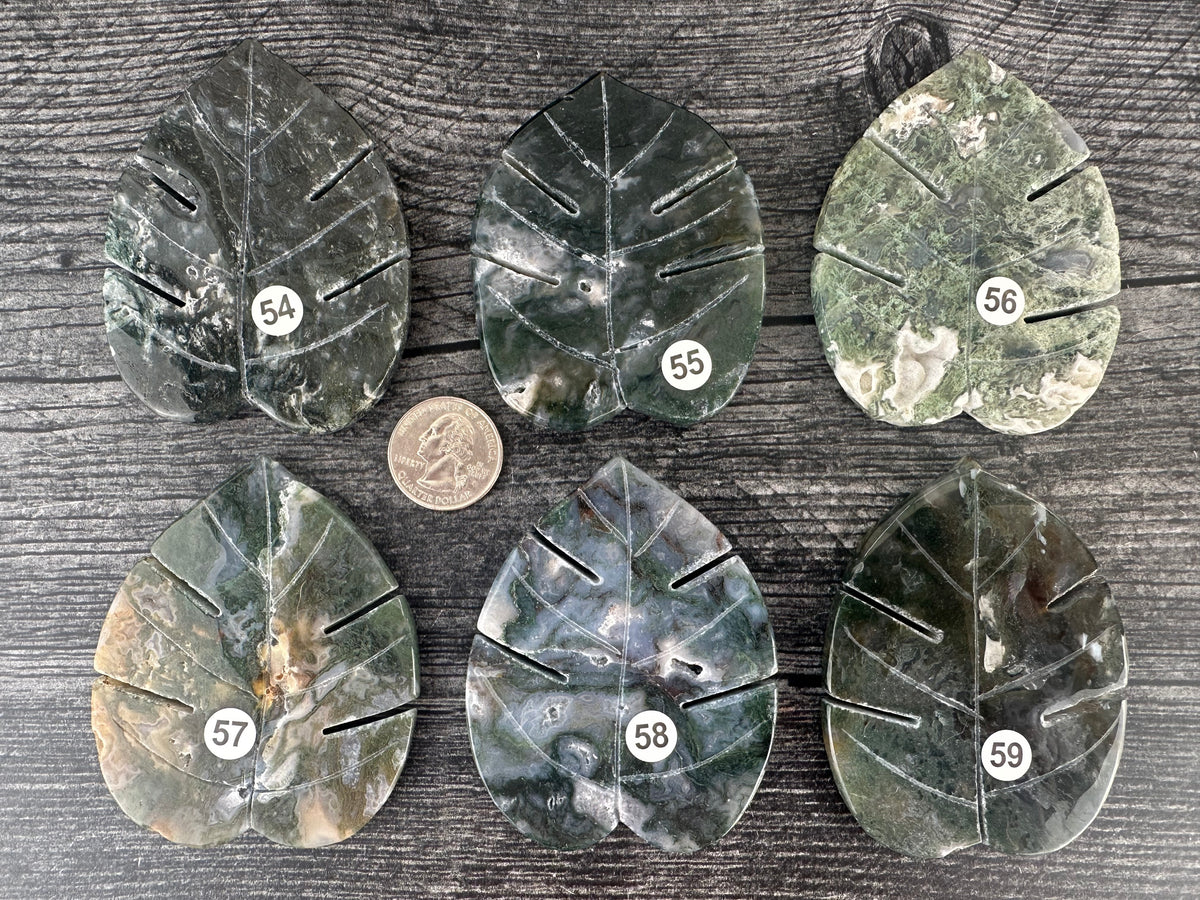 Moss Agate Leaf (3&quot;) Carved Natural Crystal