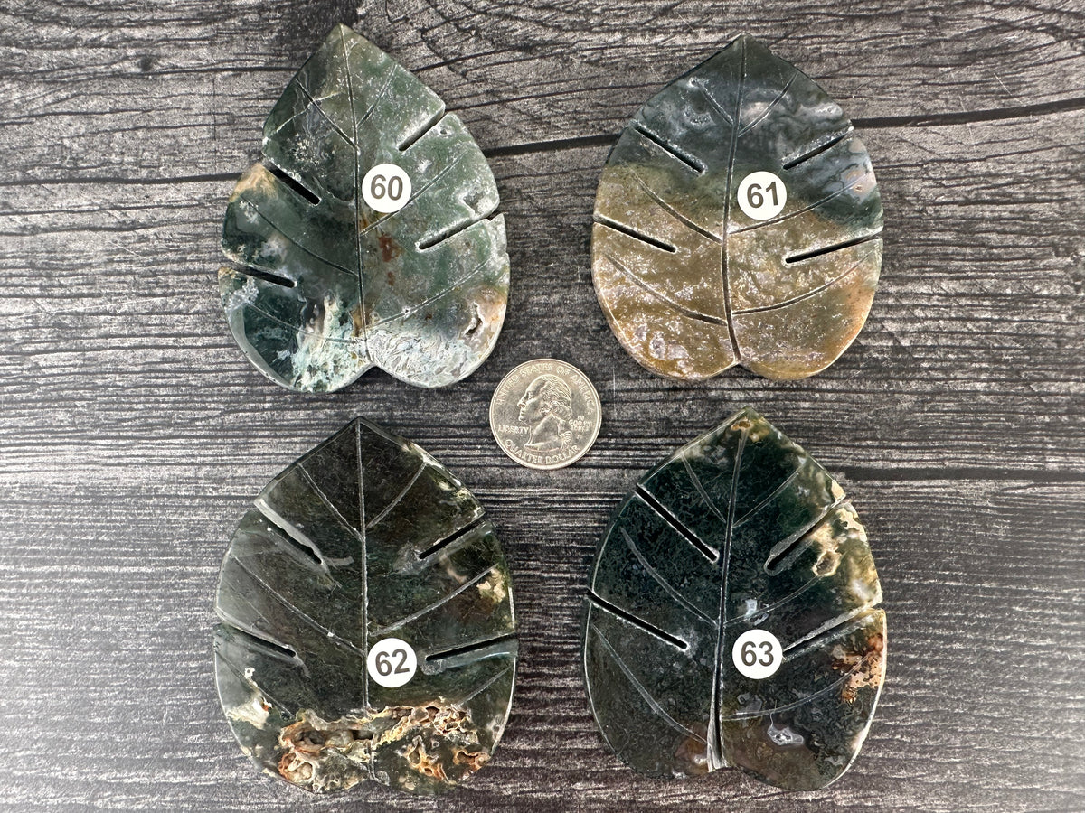 Moss Agate Leaf (3&quot;) Carved Natural Crystal