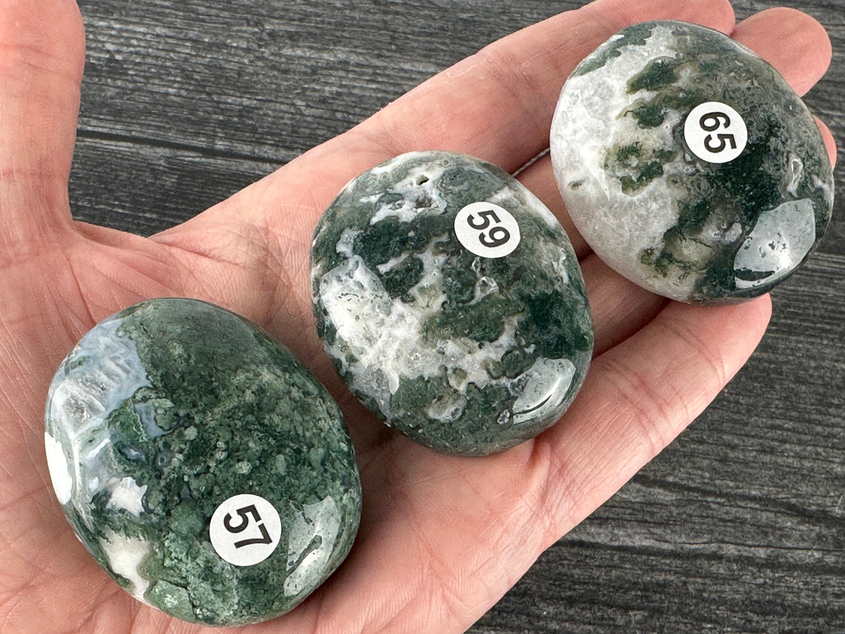 Moss Agate Palm (Natural Crystal)