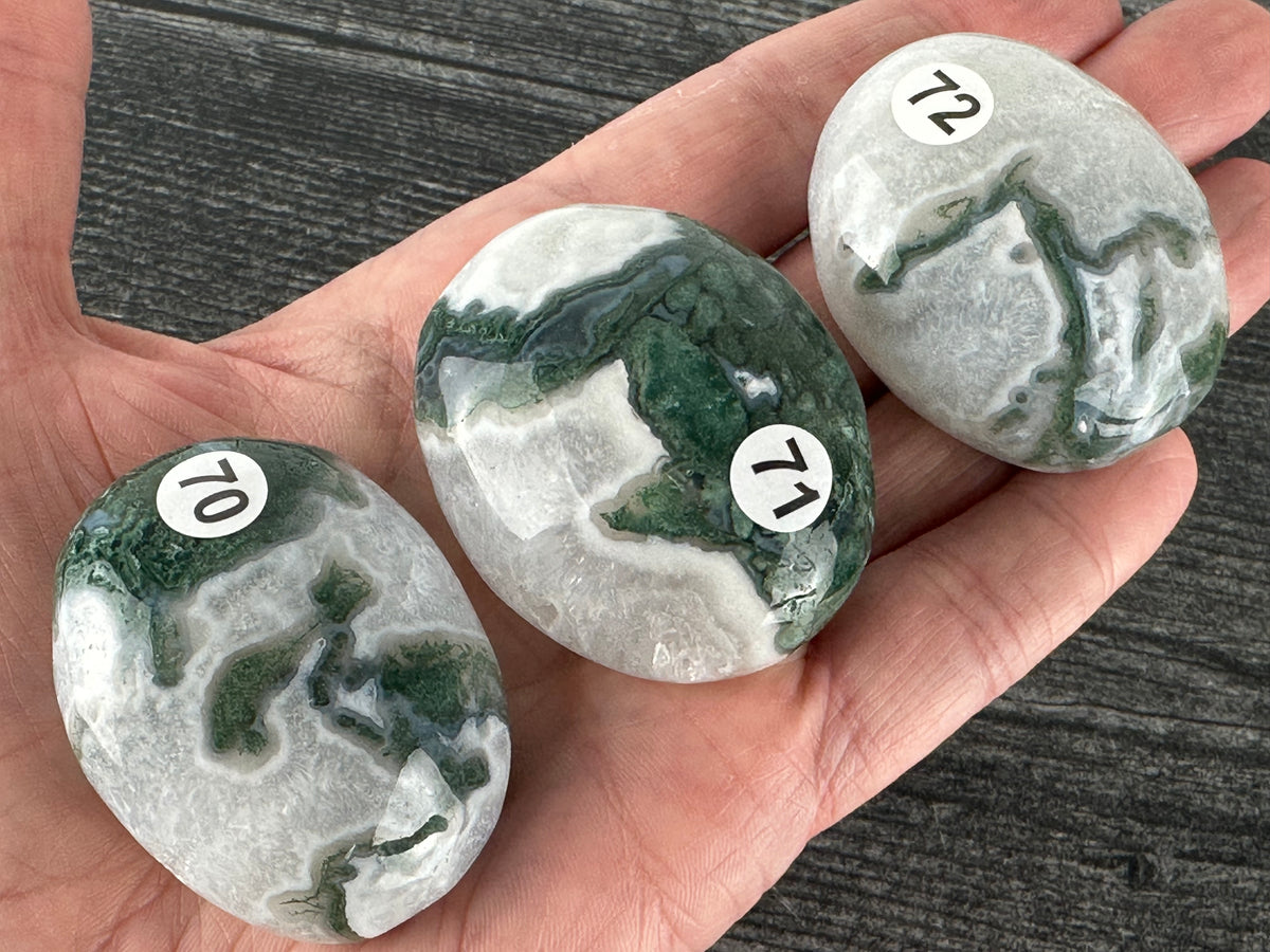 Moss Agate Palm (Natural Crystal)