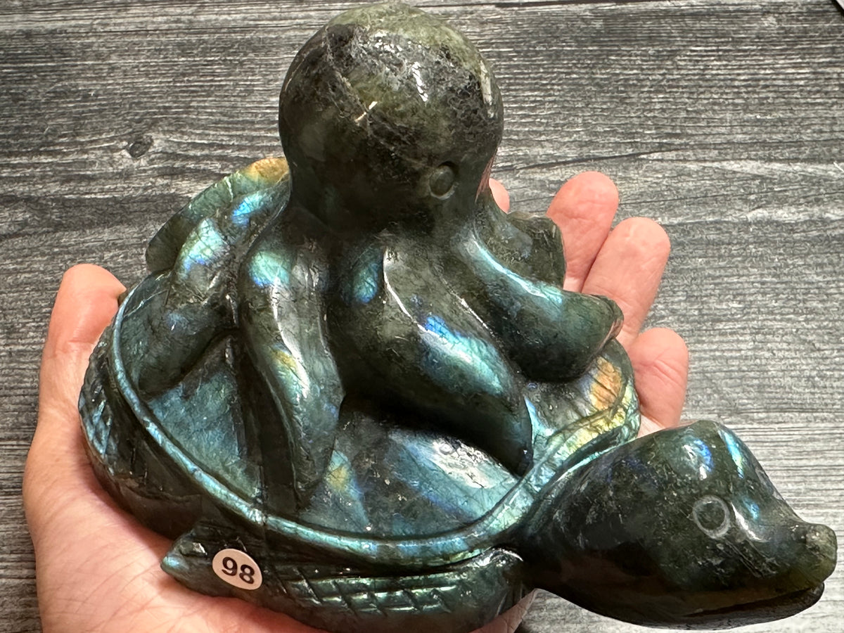 Octopus on Sea Turtle (7&quot;) Labradorite - Carved Natural Crystal Animal #98