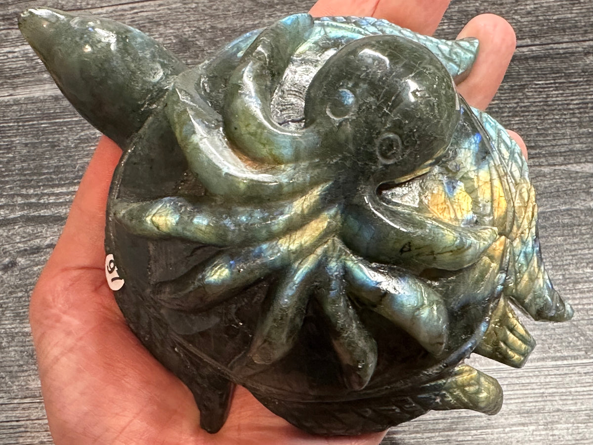 Octopus on Sea Turtle (6.5&quot;) Labradorite - Carved Natural Crystal Animal #97