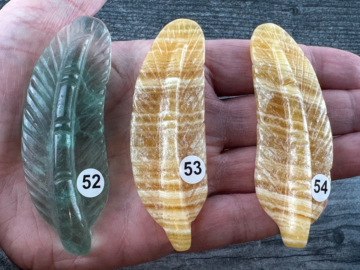 Feather (3.5&quot;) Carved Natural Crystal