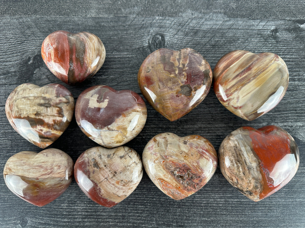 Petrified Wood Large Heart (Natural Crystal)