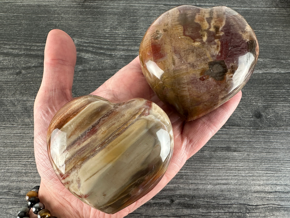 Petrified Wood Large Heart (Natural Crystal)
