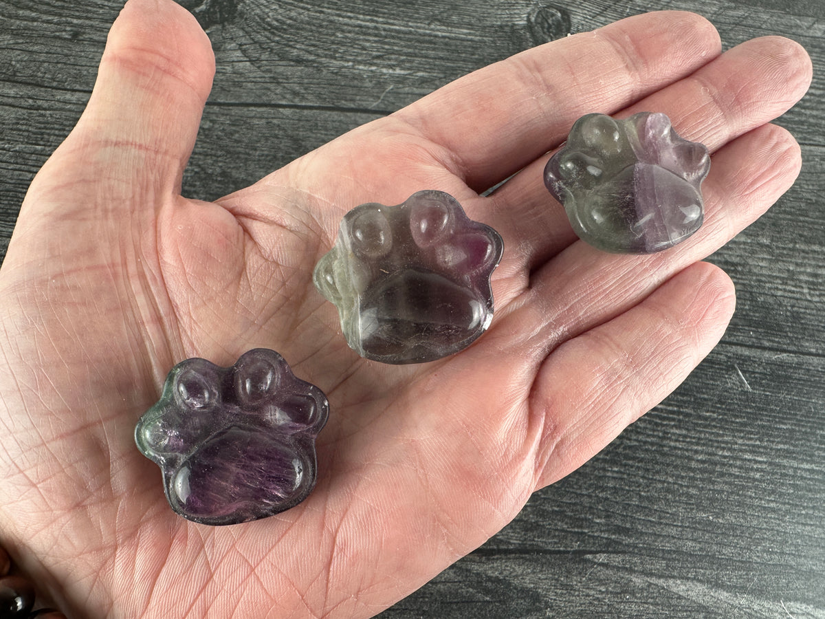 Paw Dog Cat (1.25&quot;) Fluorite (Carved Natural Crystal Animal)