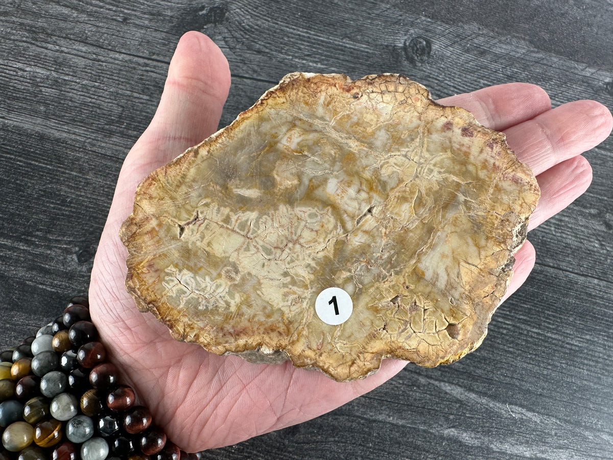 Petrified Wood Slab (Natural Crystal)