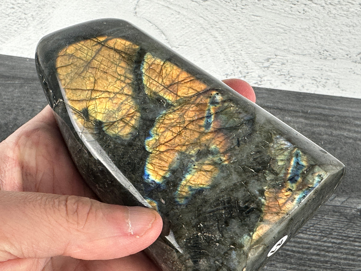 Labradorite Freeform #41 (Natural Crystal) with Awesome Flash