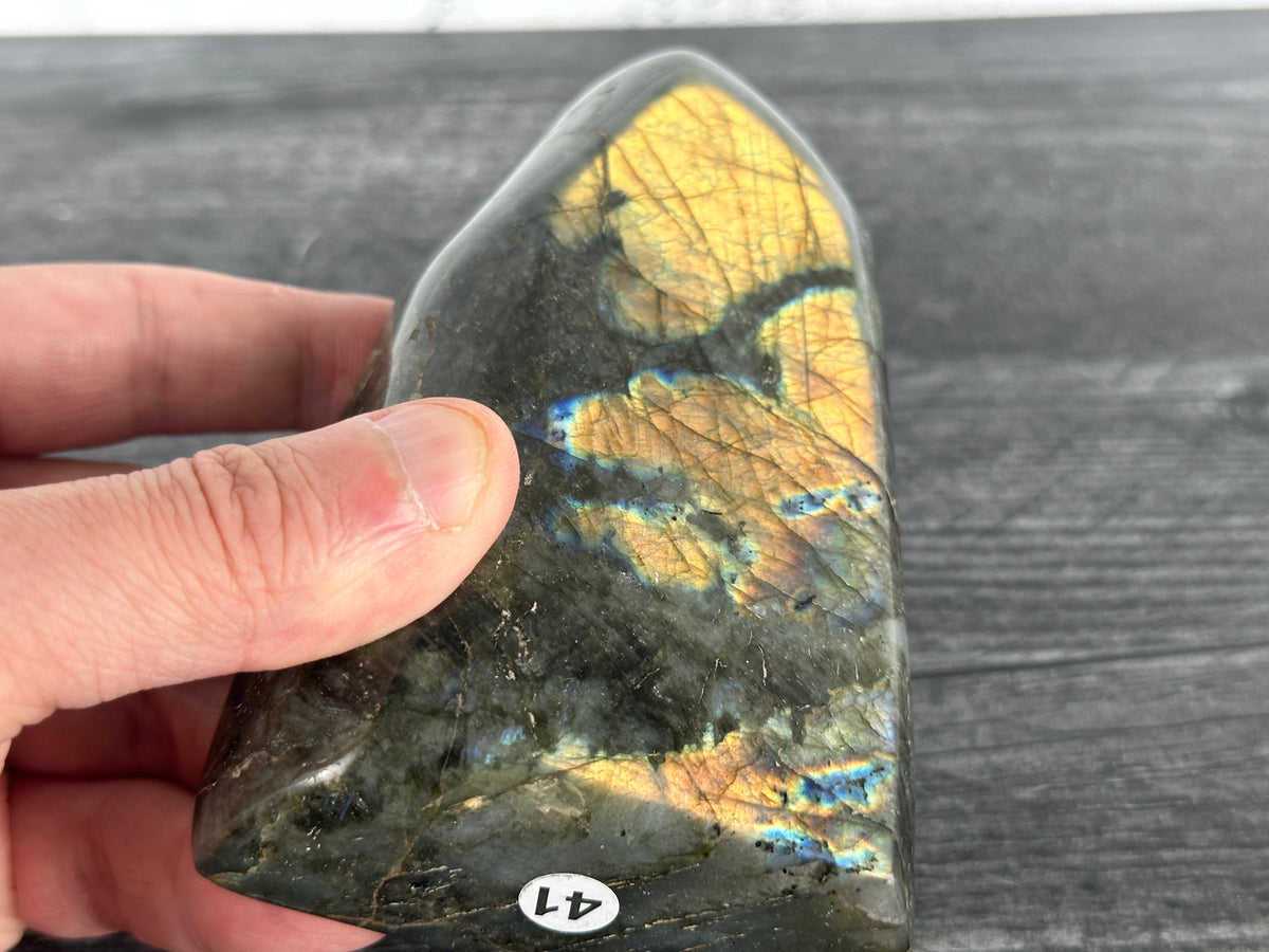 Labradorite Freeform #41 (Natural Crystal) with Awesome Flash