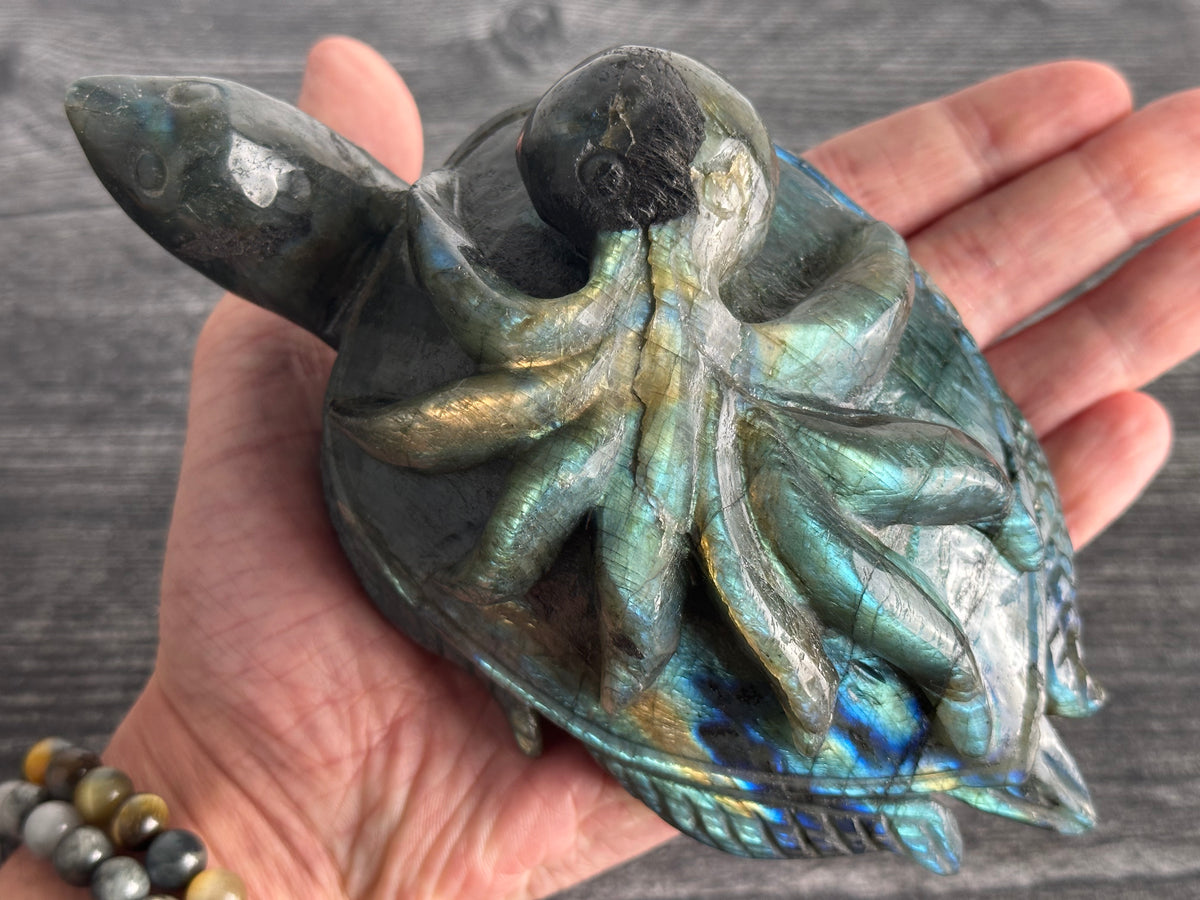 Octopus on Sea Turtle (6.75&quot;) Labradorite - Carved Natural Crystal Animal #96