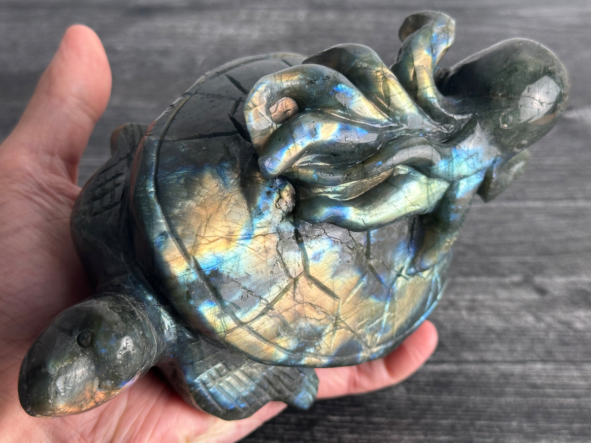 Octopus on Sea Turtle (7&quot;) Labradorite - Carved Natural Crystal Animal #99