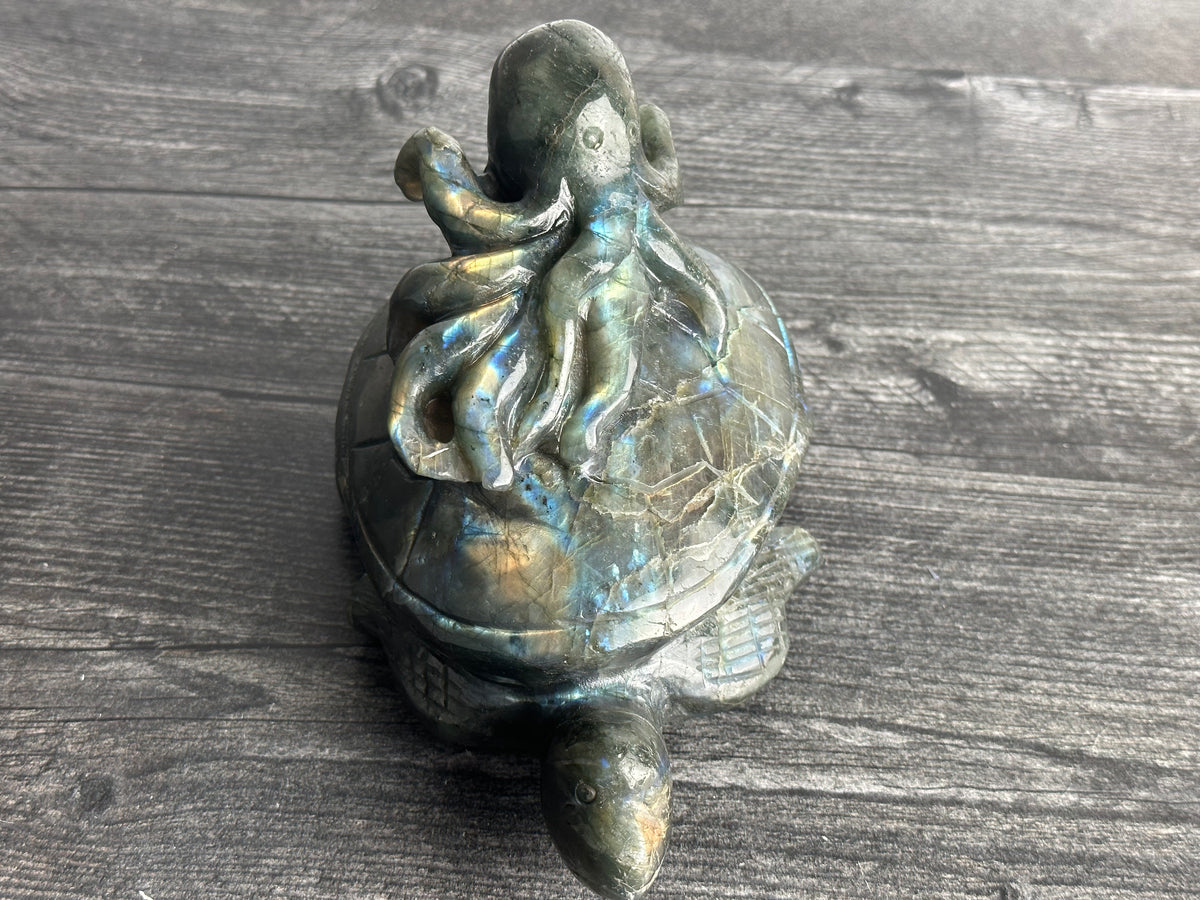Octopus on Sea Turtle (7&quot;) Labradorite - Carved Natural Crystal Animal #99