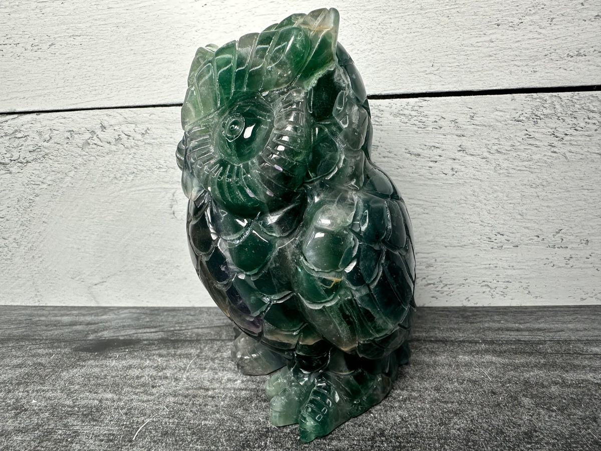Owl (4.75&quot;) Fluorite (Large Carved Natural Crystal Animal)
