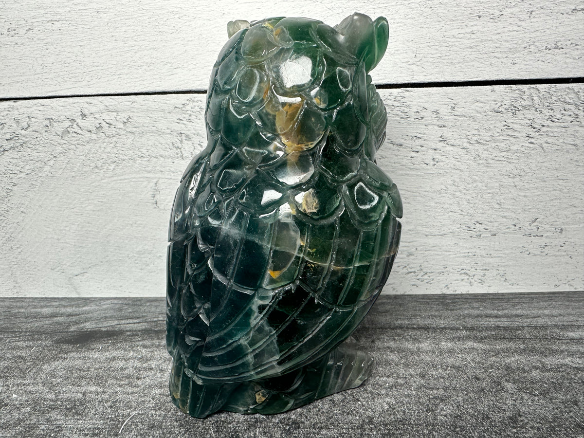 Owl (4.75&quot;) Fluorite (Large Carved Natural Crystal Animal)