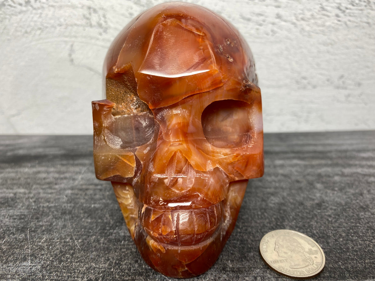 Skull (4.5&quot;) Carnelian (Large Carved Natural Crystal)