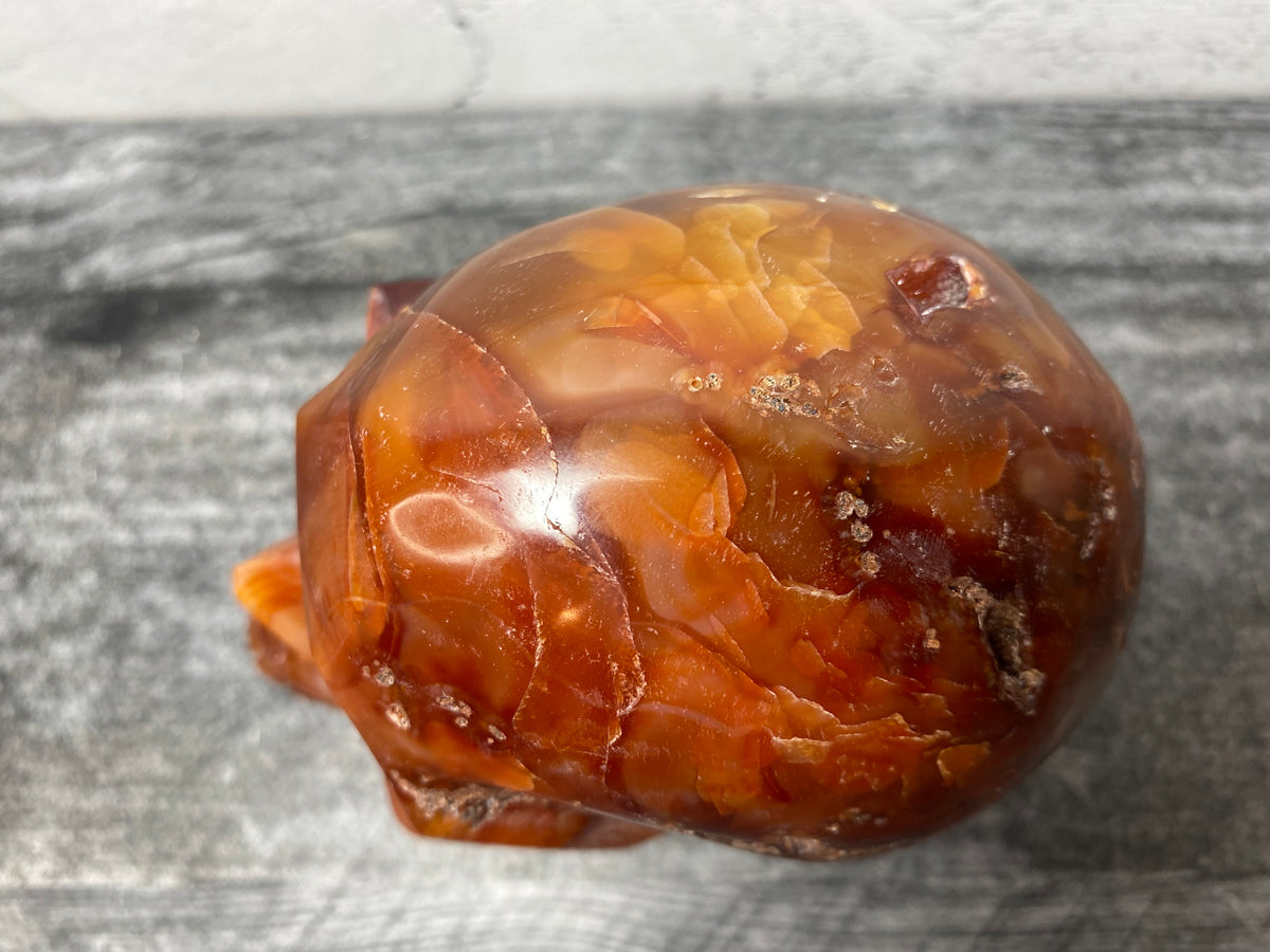 Skull (4.5&quot;) Carnelian (Large Carved Natural Crystal)