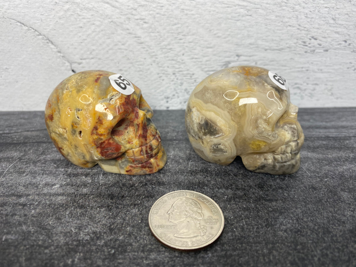 Crazy Lace Agate Skull (2&quot;) Carved Natural Crystal