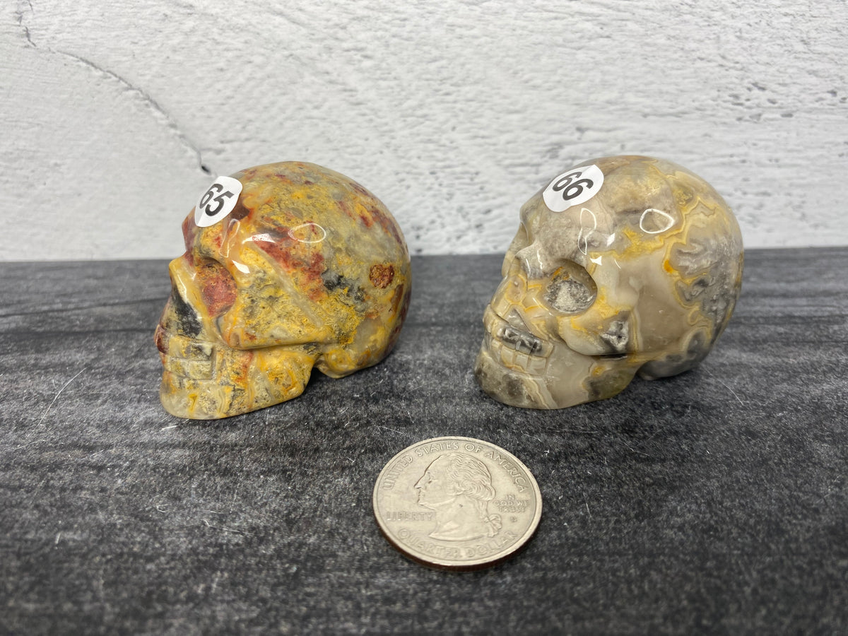 Crazy Lace Agate Skull (2&quot;) Carved Natural Crystal